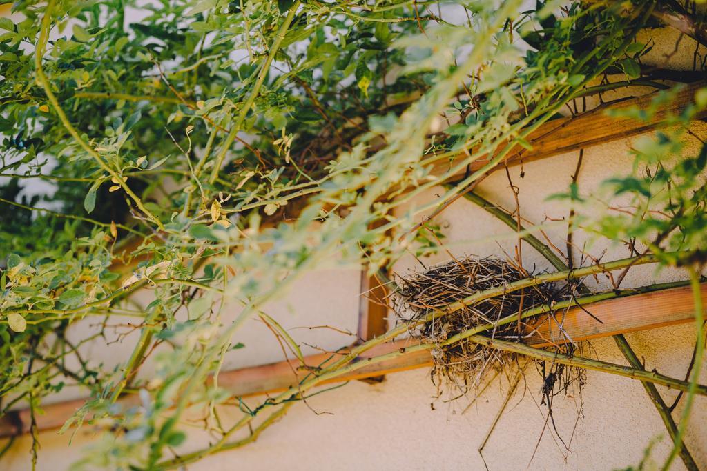 Holiday Home Castanea Praporcan Ngoại thất bức ảnh