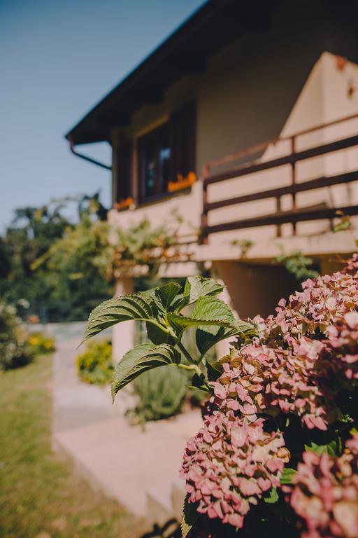 Holiday Home Castanea Praporcan Ngoại thất bức ảnh