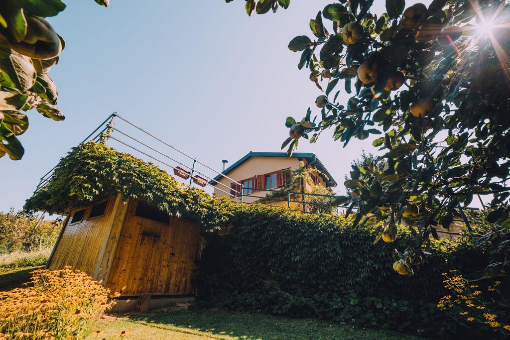 Holiday Home Castanea Praporcan Ngoại thất bức ảnh